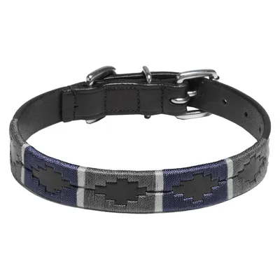 Immagine prodotto di Collare in pelle per cani Kieffer BUENOS AIRES nero con finiture cromate grigio scuro e blu, misura: 32 cm