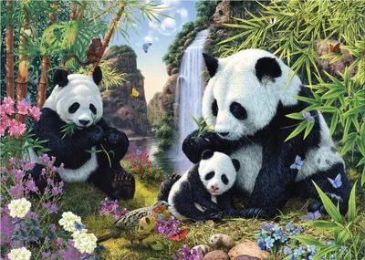 Image de Pandy : collection secrète puzzle 1000 pièces