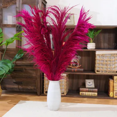 Obrázek produktu pro Dekorativní sušené trávy Pampas, 4 kusy, výška 110 cm, barva: fialová, červená, růžová