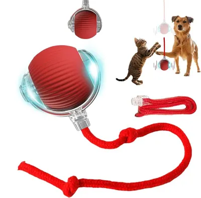 Produktbild von Stimulierendes Hundespielzeug, Intelligenter Haustierjagdball