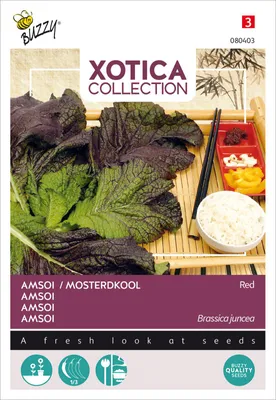 Obrázok produktu pre Semená červenej indickej horčice Buzzy Xotica Amsoi - cca 3 gr | Buzzy_080403