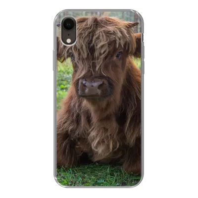 Produktbild von MuchoWow® Handyhülle Schutzhülle Hülle für iPhone XR Schottischer Highlander - Kröte - Tiere Silikon Softcase Handy Hülle - Schutzdeckel