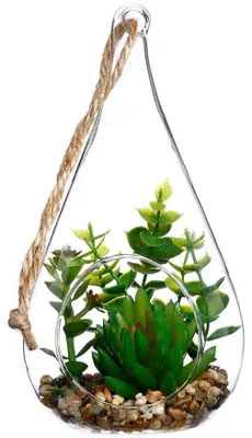 Produktbild von Atmosphera Dekorative Pflanze 10 x 19,5 cm Kristallgrün