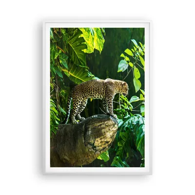 Produktbild von Gerahmtes Poster - Weißer Rahmen - Dschungel Leopard Panther - 70x100 cm - Wand Bild - Wanddeko - Wandbilder - Kunstposter - Wandposter - Bilderrahmen - Bilder - Kunstdruck - P2WPA70x100-4502