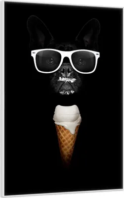 Produktbild von Wallario Wandbild Hund mit Eis, Größe: 61 x 91,50 cm, Poster mit weißem Aluminiumrahmen