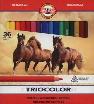 Produktbild von Koh-I-Noor Triocolor Jumbo Buntstifte 36 Farben Dreieckig