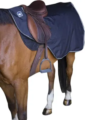 Produktbild von Riding World Waterproof Polar Abschwitzdecke Für Pferde Braun 165 cm Braun 165 cm