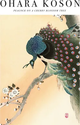 Image de Ohara Koson - imprimé "Peacock On A Cherry Blossom Tree" PM6610 (40 cm x 30 cm) (pêche/vert/blanc)