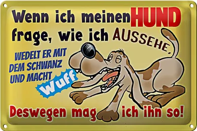 Produktbild von Blechschild Spruch 18x12cm wenn ich meinen Hund frage