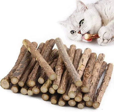 Produktbild von Interaktives Katzenkraut Spielzeug für Hausekatzen - Matatabi Spielzeugset