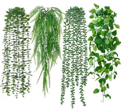 Image de Plantes suspendues artificielles, plante artificielle, plante suspendue en pot, lot de 4, feuilles d'eucalyptus artificielles en pot pour la décoration de la maison, du jardin et du bureau (fougère verte)
