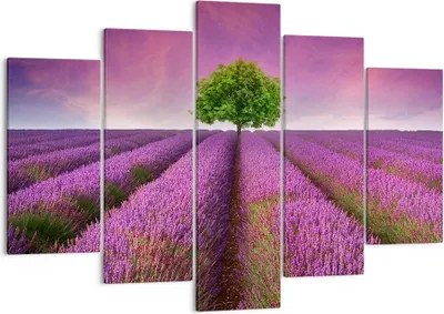 Produktbild von Bild auf Leinwand - Leinwandbild - Wiese lavenda Sommer Landschaft - 150x100cm - Wand Bild - Wanddeko - Leinwanddruck - Bilder - Kunstdruck - Leinwand bilder - Wandkunst - EA150x100-2605