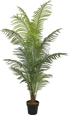Produktbild von Künstliche Palme 180 cm XL KP102 Kunstpalme Kunstpflanze Zimmerpflanze Deko fertig im Topf