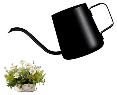 Produktbild von 250 ML Schwarze Gießkanne für Zimmerpflanzen – Mini Gießkanne aus Edelstahl mit langem Auslauf