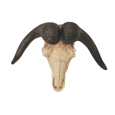 Produktbild von Geweih Büffel