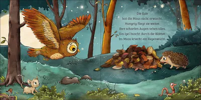 Zdjęcie produktu dla Mein erstes Naturbuch - Die Eule