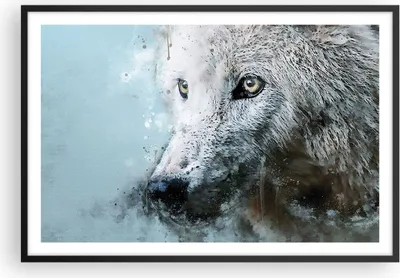 Produktbild von Gerahmtes Poster - Schwarzer Rahmen - Weiß Der Wolf Bild - 91,5x61 cm - Wand Bild - Wanddeko - Wandbilder - Kunstposter - Wandposter - Bilderrahmen - Bilder - Kunstdruck - P2BAA91x61-4623