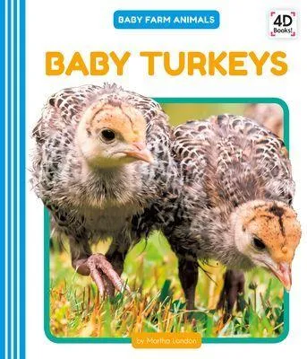 Produktbild von Baby Turkeys