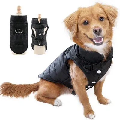 Produktbild von Unyqoos® EASTLION wasserdichte, winddichte Hundejacke mit 2 D-Ringen, warme Winterjacke für kleine Hunde & Katzen, Schwarz, Größe M