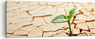 Produktbild von Bild auf Leinwand - Leinwandbild - Wüste Erde Umwelt - 140x50cm - Wand Bild - Wanddeko - Wandbilder - Leinwanddruck - Bilder - Kunstdruck - Wanddekoration - Leinwand bilder - Wandkunst - AB140x50-2173
