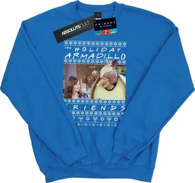 Produktbild von Friends - "Holiday Armadillo" Sweatshirt für Herren BI24131 (M) (Königsblau)