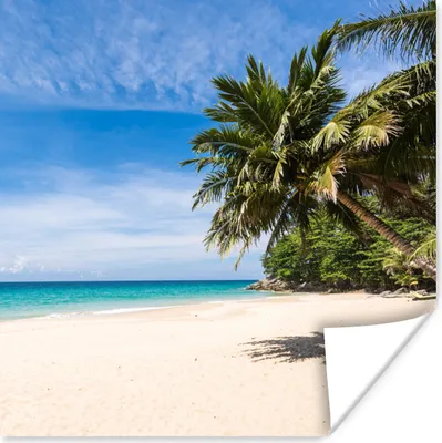 Produktbild von MuchoWow® Poster Strand - Tropen - Meer 75x75 cm - Wand Dekoration