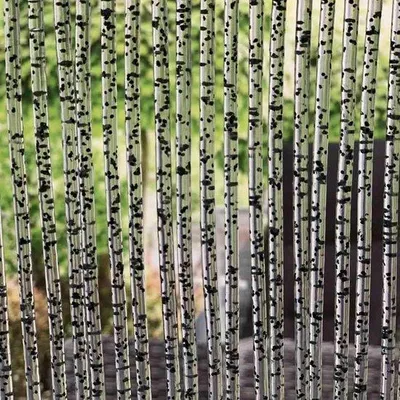 Obrázok produktu pre Priehľadná pergola 90 x 210 cm so vzorom