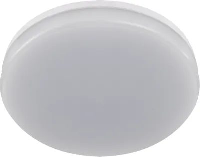 Obrázek produktu pro LED stropní svítidlo venkovní IP55 kulaté D: 22 cm bílé neutrální bílé 4000 K 2290 lm Stropní svítidlo