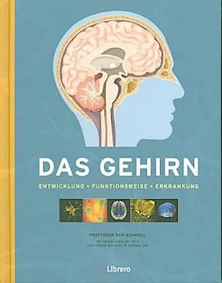 Immagine prodotto di Das Gehirn