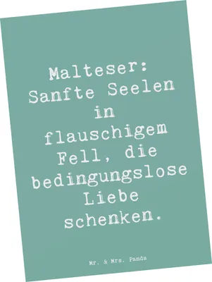 Produktbild von Mr. & Mrs. Panda Postkarte Spruch Malteser Liebe - Meeresbrise - Geschenk, Hunderasse, Charakter, Hunderassen Eigenschaften, Ansichtskarten, Beschreibung, Postkarten