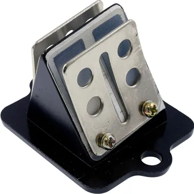 Produktbild von Membranblock 2EXTREME, kompatibel für PIAGGIO NRG mc2 mc3 DD LC Zip SSL TPH SKR