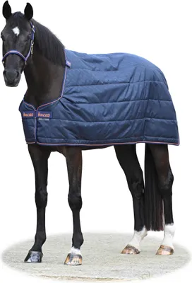A dark-colored horse wearing a navy blanket with pink and purple trim.