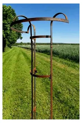 Produktbild von Rosenschirm Höhe: 180 cm Metall Rankhilfe Rankgerüst Rost Rankschirm Eisen