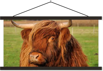 Produktbild von MuchoWow® Textilposter Schottisches Hochlandrind - Gras - Baum 150x75 cm mit schwarzem Rahmen - Posterleiste