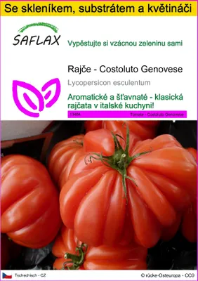 Obrázek produktu pro SAFLAX Kultivační sada - Rajče - Costoluto Genovese - Lycopersicon esculentum - 10 Semena - S mini skleníkem, pěstebním substrátem a 2 květináči