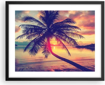 Produktbild von Gerahmtes Poster - Schwarzer Rahmen - Meer Strand Palme - 50x40 cm - Wand Bild - Wanddeko - Wandbilder - Kunstposter - Wandposter - Bilderrahmen - Bilder - Kunstdruck - Wandbild - P2BAA50x40-3925