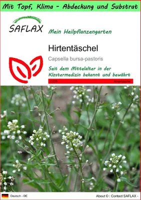 Produktbild von SAFLAX Garden to go - Hirtentäschel - Capsella bursa-pastoris - 1000 Samen - Mit Topf, Klima - Deckel und Anzuchtsubstrat