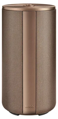 Image de BOSS Enceinte connectée Elemental Camel