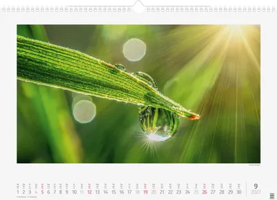 Produktbild von BRUNNEN Bildkalender 2027 „Lichtimpressionen“ | 490×340 mm