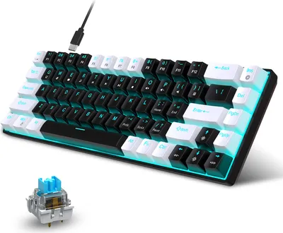 A mechanical keyboard with a USB-C cable and a separate keyboard switch are shown on a white background. The keyboard has a black and white keycap design with blue LED backlighting.