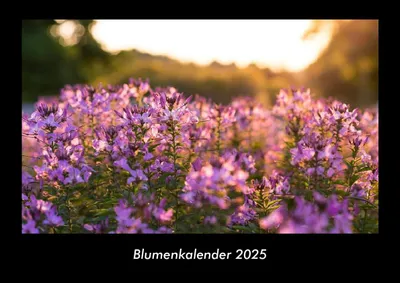 Produktbild von Blumenkalender 2025 Fotokalender DIN A3