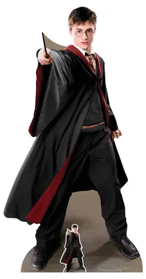 Obrázek produktu pro Harry Potter kartonový stojan Quidditch Captain kartonový stojan