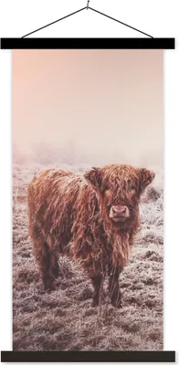 Produktbild von MuchoWow® Textilposter Schottische Hochlandrind - Schnee - Sonne 40x80 cm mit schwarzem Rahmen - Wandemalerei