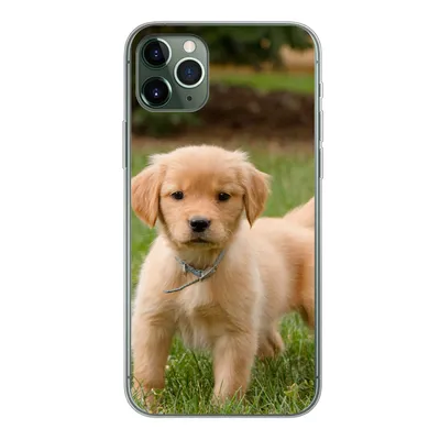 Produktbild von MuchoWow® Handyhülle Schutzhülle Hülle für iPhone 11 Pro Max Golden Retriever Welpe im grünen Gras Silikon Softcase Handy Hülle - Schutz