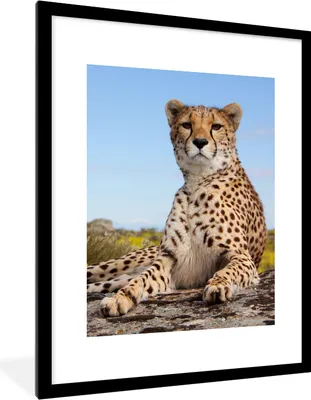 Produktbild von MuchoWow® Gerahmtes Poster Leopard - Tiere - Natur 60x80 cm - Poster mit Schwarzem Bilderrahmen Wandposter Rahmen Foto Bilder - Wohnzimmer - Dekorationen - Prämie