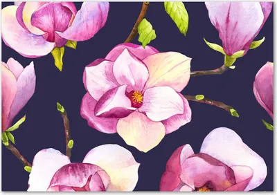 Produktbild von Tulup® Glas-Bild - 100 x 70 - Wandbild aus Glas - Wandkunst - Wandbild hinter gehärtetem Sicherheitsglas - Blumen & Pflanzen - Magnolie - Rosa