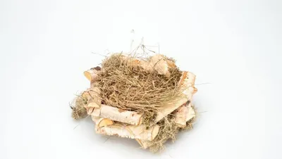 Produktbild von Osternest aus Birkenzweigen in Natur, mit einem Durchmesser von 15 cm | Osternest, Material:Halbierte Zweige