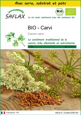 Image de SAFLAX Ensemble de culture -- Carvi - 800 graines - Carum