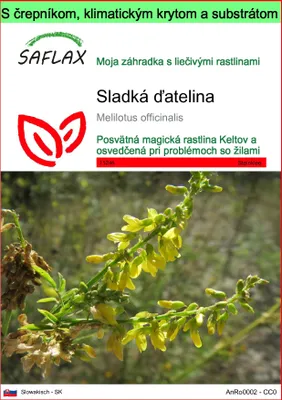 Obrázok produktu pre SAFLAX Garden to go - sladká ďatelina - Melilotus officinalis - 250 Semená - S črepníkom, klimatickým vekom a pestovateľským substrátom