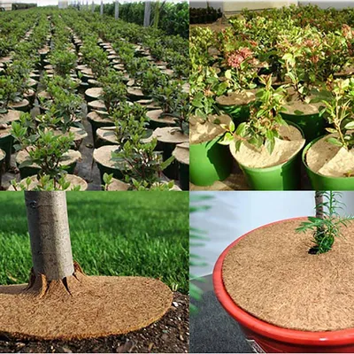 Produktbild von Jumadas Kokosnuss-Pflanzendecke – Braun – 1 Meter